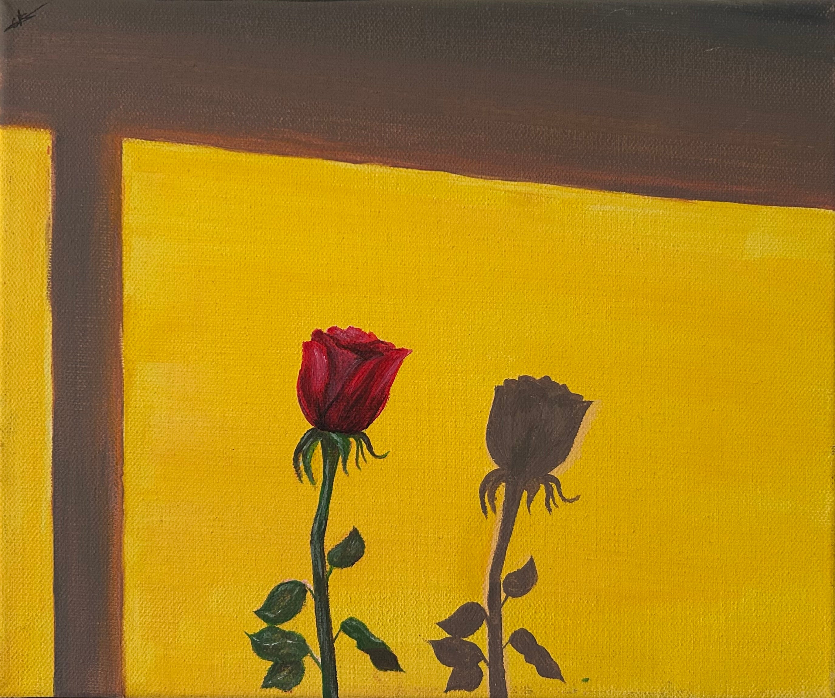Juste une rose